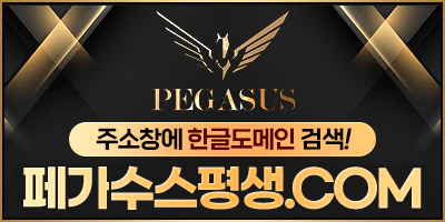 페가수스 평생 도메인