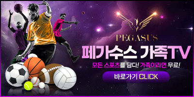 페가수스 가족 TV
