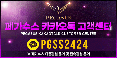 페가수스 카카오톡 고객센터