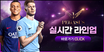 페가수스 실시간 라인업
