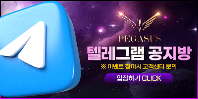페가수스 텔레그램 공지방